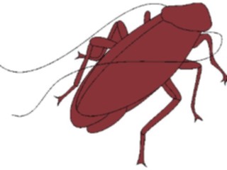 Sticker Custom Preview Image #023850 Animals Insects Crawling Insect17