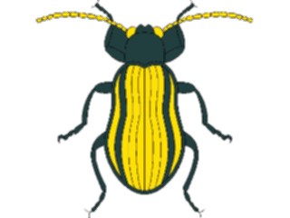 Sticker Custom Preview Image #023851 Animals Insects Crawling Insect18