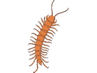 Sticker Custom Preview Image #023852 Animals Insects Crawling Insect19