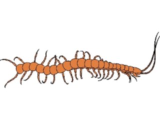 Sticker Custom Preview Image #023853 Animals Insects Crawling Insect20