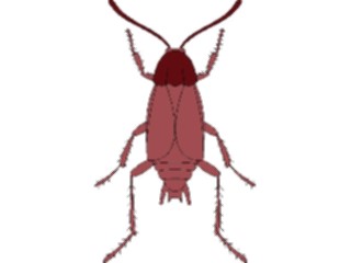 Sticker Custom Preview Image #023854 Animals Insects Crawling Insect21