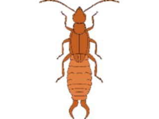 Sticker Custom Preview Image #023855 Animals Insects Crawling Insect22