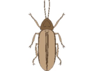 Sticker Custom Preview Image #023856 Animals Insects Crawling Insect23