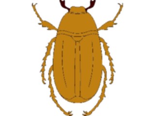 Sticker Custom Preview Image #023857 Animals Insects Crawling Insect24