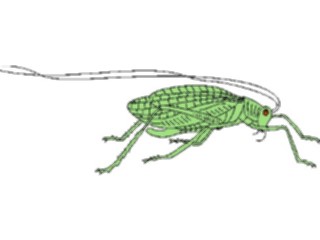 Sticker Custom Preview Image #023858 Animals Insects Crawling Insect25