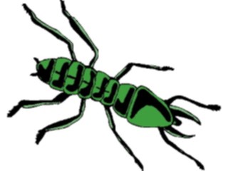Sticker Custom Preview Image #023859 Animals Insects Crawling Insect26