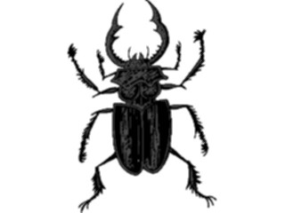 Sticker Custom Preview Image #023861 Animals Insects Crawling Insect28
