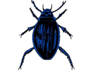 Sticker Custom Preview Image #023862 Animals Insects Crawling Insect29