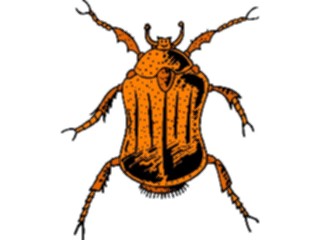 Sticker Custom Preview Image #023863 Animals Insects Crawling Insect30