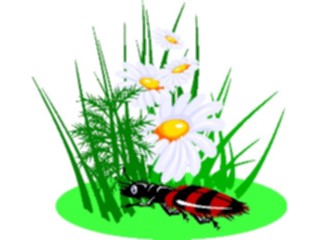 Sticker Custom Preview Image #023864 Animals Insects Crawling Insect31