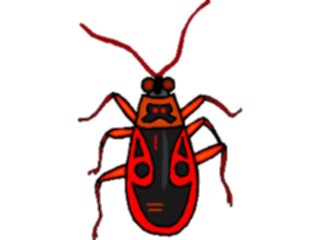 Sticker Custom Preview Image #023866 Animals Insects Crawling Insect33
