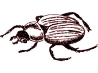 Sticker Custom Preview Image #023868 Animals Insects Crawling Insect35