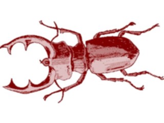 Sticker Custom Preview Image #023869 Animals Insects Crawling Insect36