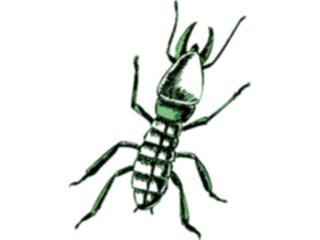 Sticker Custom Preview Image #023871 Animals Insects Crawling Insect38