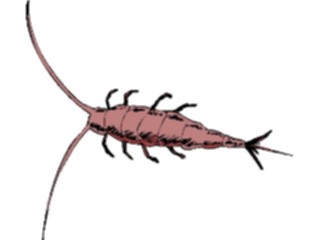 Sticker Custom Preview Image #023872 Animals Insects Crawling Insect39