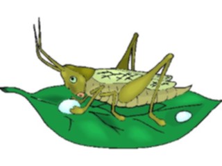 Sticker Custom Preview Image #023874 Animals Insects Cricket2