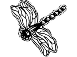 Sticker Custom Preview Image #023878 Animals Insects Dragonfly02