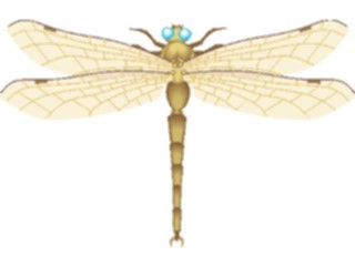 Sticker Custom Preview Image #023880 Animals Insects Dragonfly04