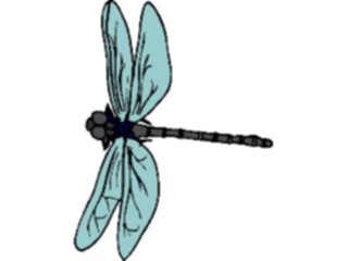 Sticker Custom Preview Image #023882 Animals Insects Dragonfly06