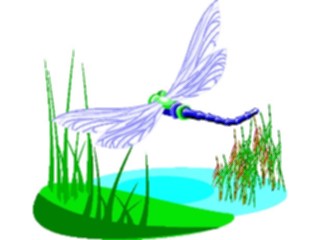 Sticker Custom Preview Image #023885 Animals Insects Dragonfly09