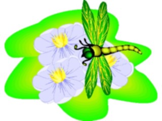 Sticker Custom Preview Image #023886 Animals Insects Dragonfly10