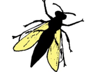 Sticker Custom Preview Image #023895 Animals Insects Fly03