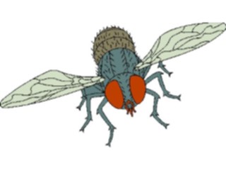 Sticker Custom Preview Image #023898 Animals Insects Fly06