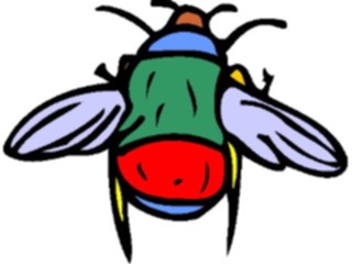 Sticker Custom Preview Image #023900 Animals Insects Fly08