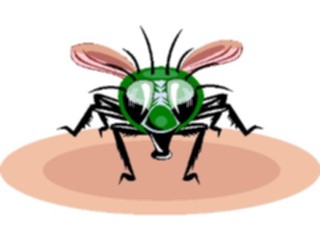 Sticker Custom Preview Image #023901 Animals Insects Fly09