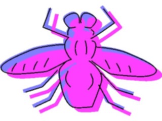 Sticker Custom Preview Image #023902 Animals Insects Fly10