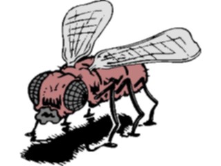 Sticker Custom Preview Image #023903 Animals Insects Fly11