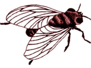 Sticker Custom Preview Image #023904 Animals Insects Fly12