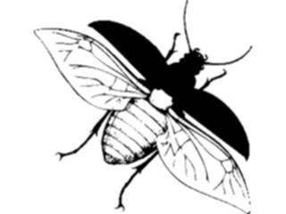 Sticker Custom Preview Image #023907 Animals Insects Flying Insect01