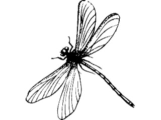 Sticker Custom Preview Image #023908 Animals Insects Flying Insect02