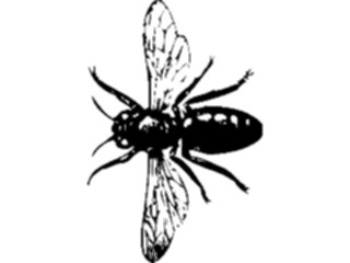 Sticker Custom Preview Image #023909 Animals Insects Flying Insect03