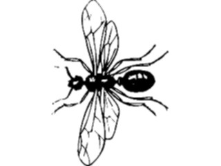 Sticker Custom Preview Image #023911 Animals Insects Flying Insect05