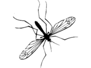 Sticker Custom Preview Image #023912 Animals Insects Flying Insect06