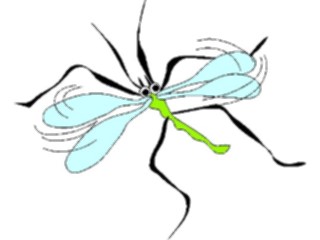 Sticker Custom Preview Image #023913 Animals Insects Flying Insect07