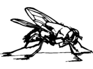 Sticker Custom Preview Image #023914 Animals Insects Flying Insect08