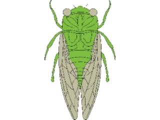 Sticker Custom Preview Image #023915 Animals Insects Flying Insect09