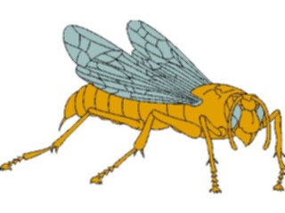 Sticker Custom Preview Image #023916 Animals Insects Flying Insect10