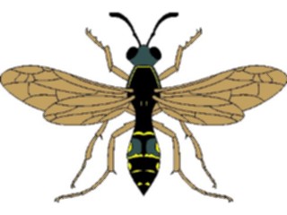 Sticker Custom Preview Image #023918 Animals Insects Flying Insect12