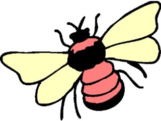 Sticker Custom Preview Image #023919 Animals Insects Flying Insect13