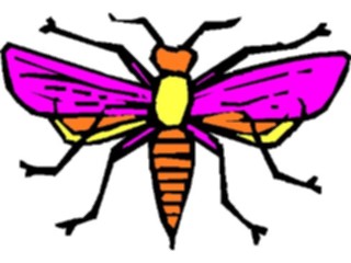 Sticker Custom Preview Image #023924 Animals Insects Flying Insect18