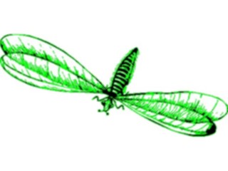 Sticker Custom Preview Image #023925 Animals Insects Flying Insect19