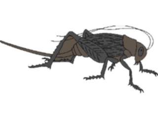 Sticker Custom Preview Image #023929 Animals Insects Grasshopper04