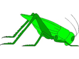 Sticker Custom Preview Image #023930 Animals Insects Grasshopper05