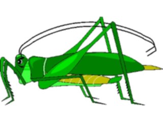 Sticker Custom Preview Image #023933 Animals Insects Grasshopper08