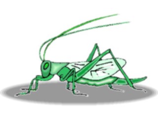 Sticker Custom Preview Image #023935 Animals Insects Grasshopper10
