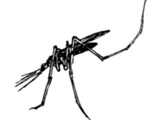 Sticker Custom Preview Image #023945 Animals Insects Insect3